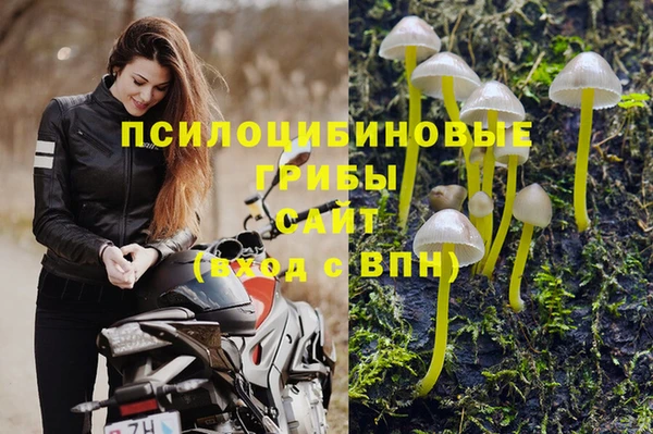 тгк Богданович