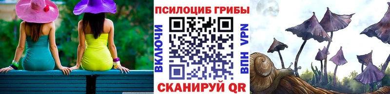 Галлюциногенные грибы MAGIC MUSHROOMS  сколько стоит  Тамбов 